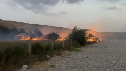 Van'da ağaçlık alanda korkutan yangın