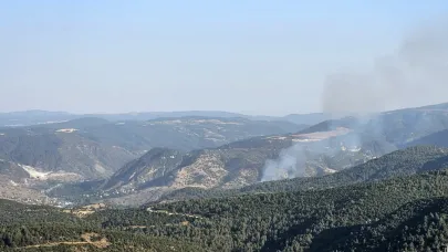 Bilecik’teki orman yangını kontrol altına alındı