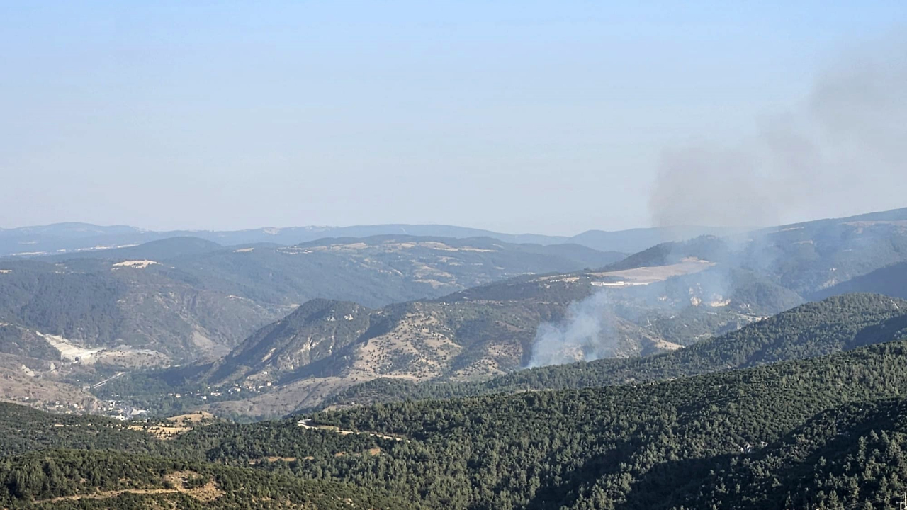 Bilecik’teki orman yangını kontrol altına alındı