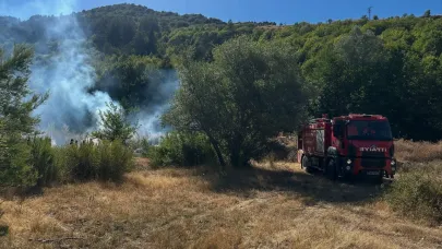 Kastamonu’da ormanlık alanda çıkan yangın büyümeden söndürüldü