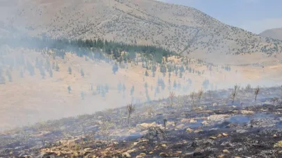 Malatya’da ormanlık alanda yangın