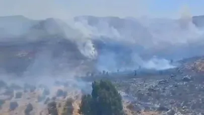 Bodrum’da otluk alanda çıkan yangın kısa sürede kontrol altına alındı