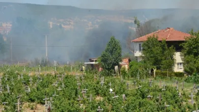 Tunçbilek yolu yakınındaki yangın kontrol altına alındı