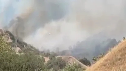 Aydın'da zirai alan yangını