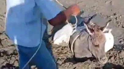 Kars’ta çamura saplanan eşek kurtarıldı