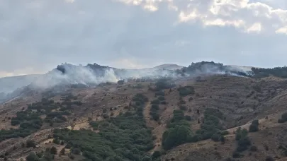 Sivas'ta çıkan orman yangını kontrol altına alındı