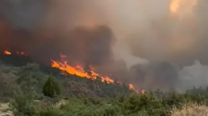 Bursa'da 5 köy tahliye edilmişti! O yangın büyümeye devam ediyor