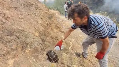 Yangından kurtardığı kaplumbağayı böyle kurtardı