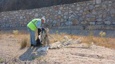 Büyükşehir'den yangınla mücadelede yeni hamle