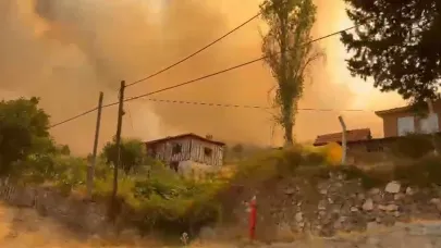 Bursa'daki orman yangınında alevler yerleşim yerlerine yaklaştı