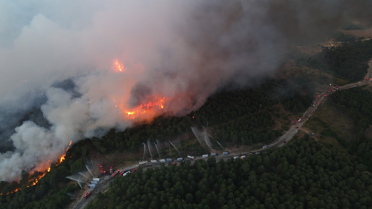 Karabük’te yeni orman yangını!