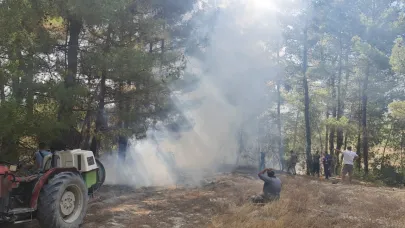 Denizli'de çıkan yangın söndürüldü