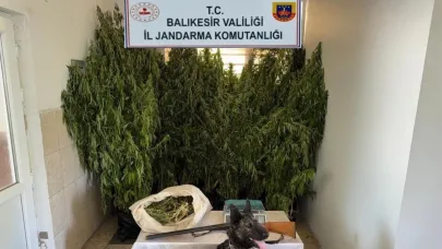 Balıkesir'de uyuşturucu operasyonu: 15 gözaltı