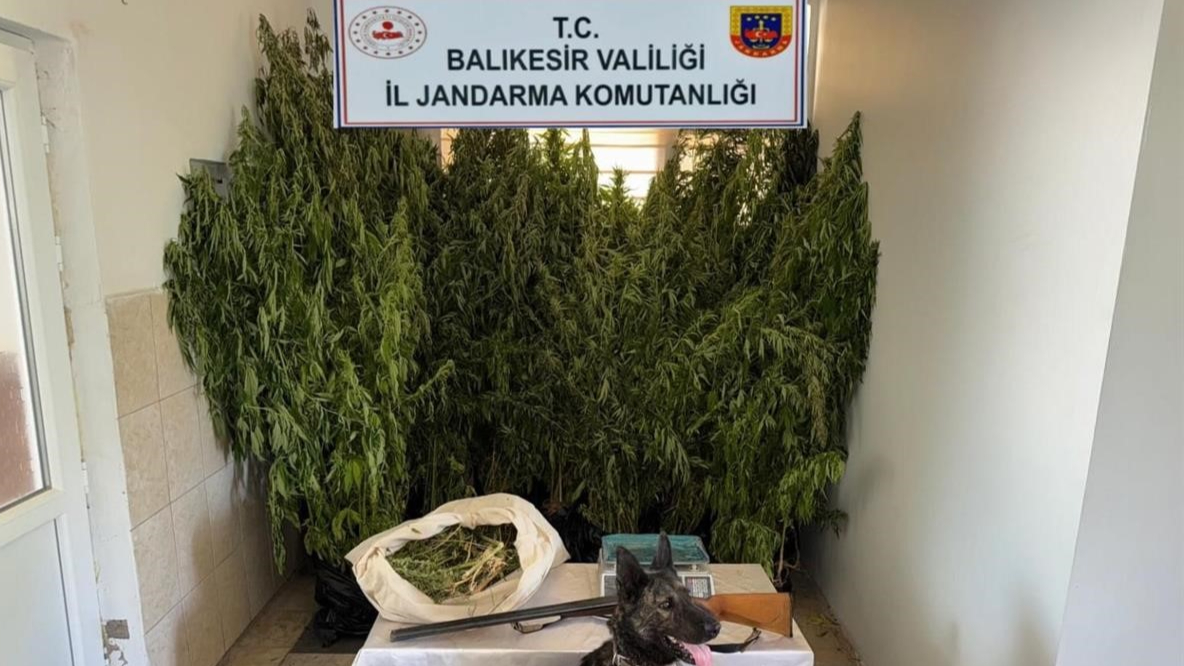 Balıkesir'de uyuşturucu operasyonu: 15 gözaltı