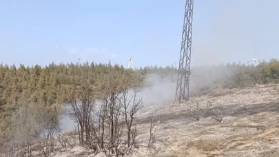 Hatay'da orman yangını söndürüldü