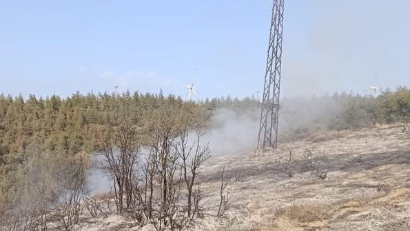 Hatay'da orman yangını söndürüldü