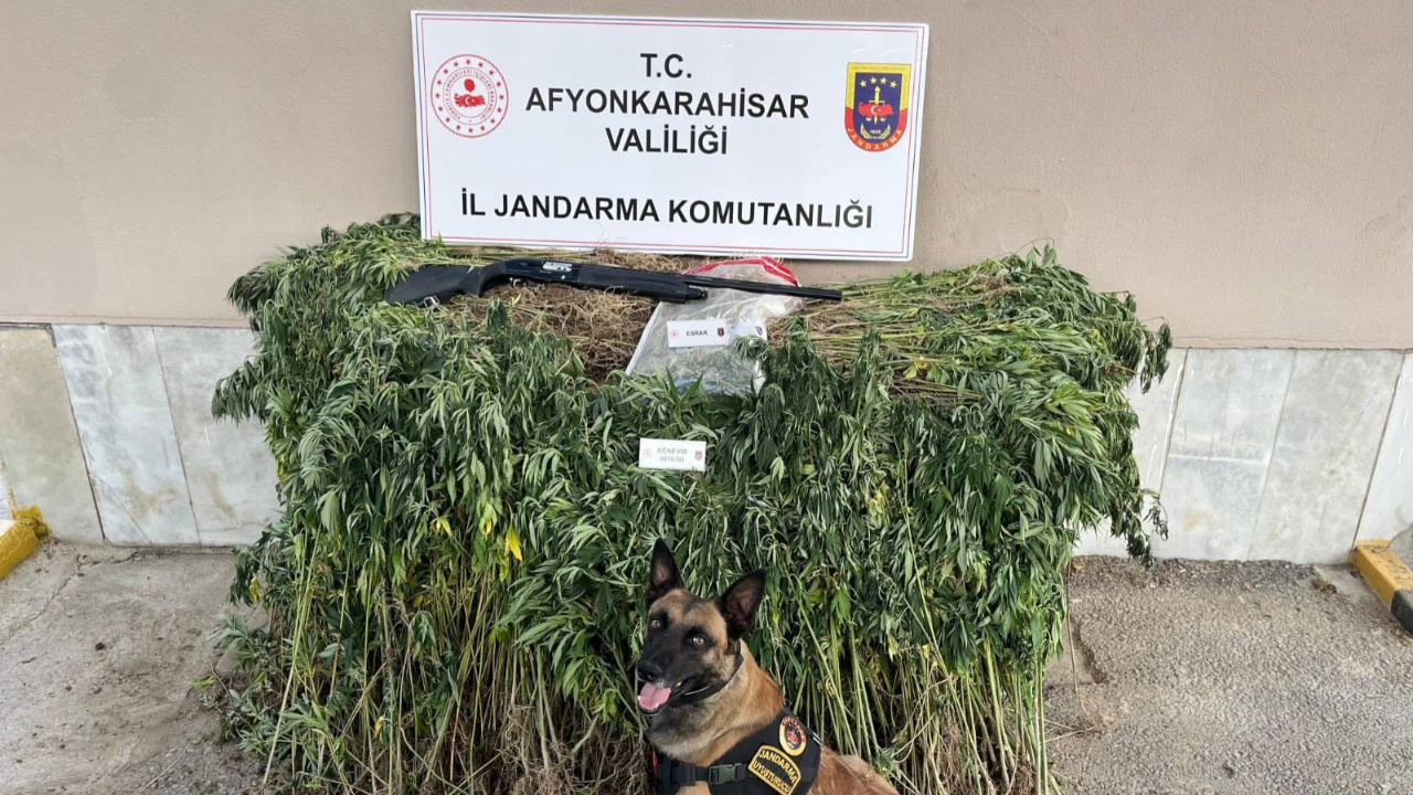 Afyonkarahisar'da uyuşturucu operasyonu: 2 gözaltı