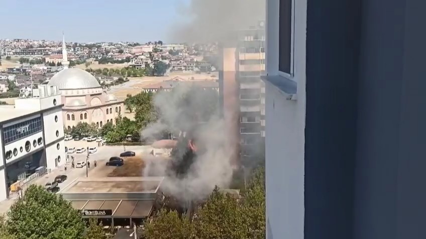 Nilüfer'de yangın paniği: Ağaçlık alan alev aldı