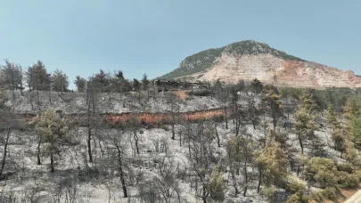 Gürsu'da ağaçlandırma talepleri değerlendiriliyor
