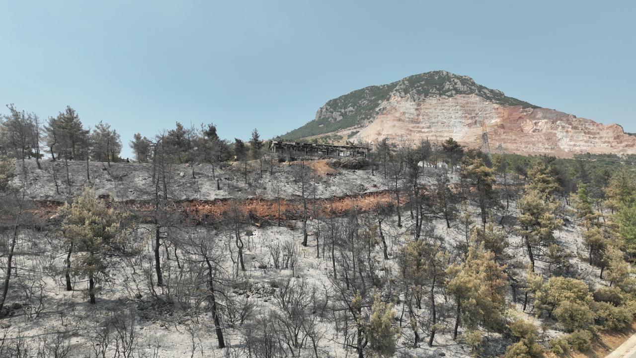 Gürsu'da ağaçlandırma talepleri değerlendiriliyor