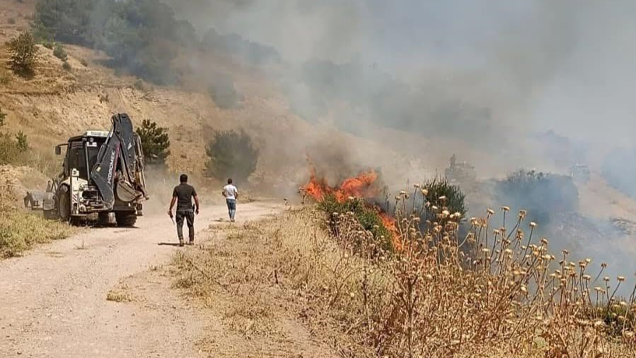 Manisa yangınına dört koldan müdahale