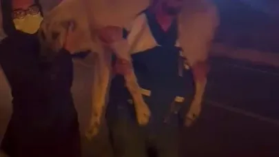 Yangın bölgesindeki hayvanların tahliyesi için seferber oldular
