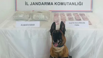 Elazığ’da uyuşturucuyla mücadele!