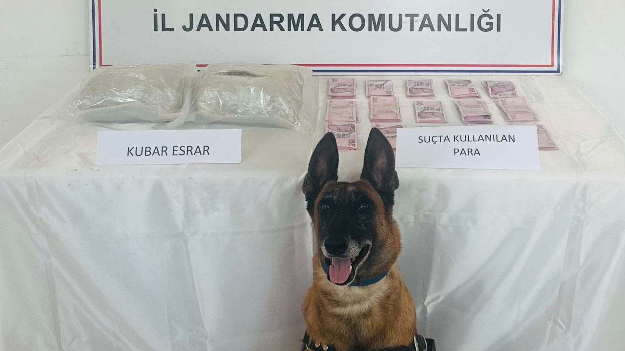 Elazığ’da uyuşturucuyla mücadele!