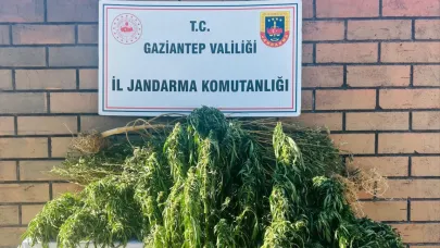 Gaziantep'te uyuşturucu operasyonu: 1 tutuklu
