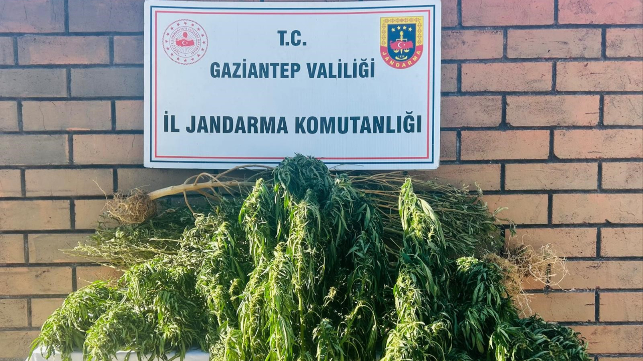 Gaziantep'te uyuşturucu operasyonu: 1 tutuklu
