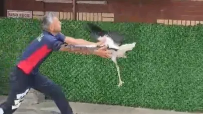 İtfaiye eri tek ayaklı leyleği havada yakaladı