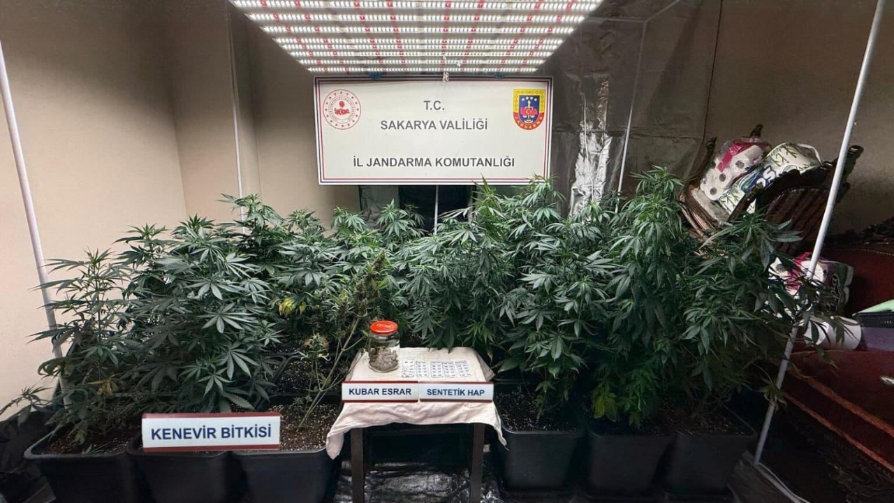 Jandarmadan uyuşturucu operasyonu: 1 tutuklu