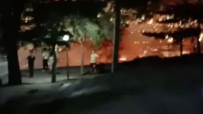 Bursa'da havai fişek yangına yol açtı: 1 kişi tutuklandı