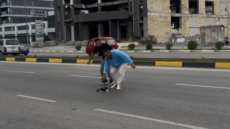 Çaresizce bekleyen yavru kedi kurtarıldı