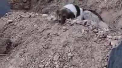 Mezar başında vefa nöbeti