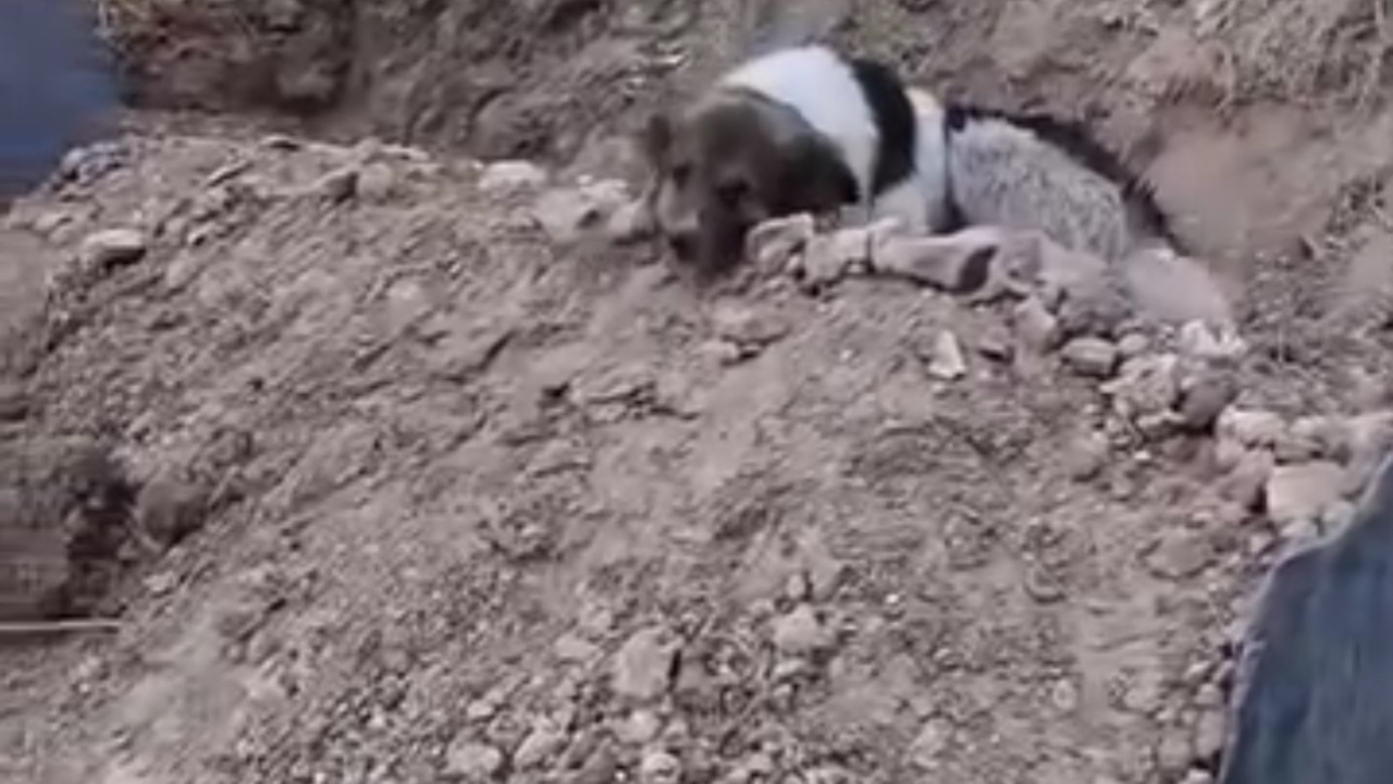 Mezar başında vefa nöbeti