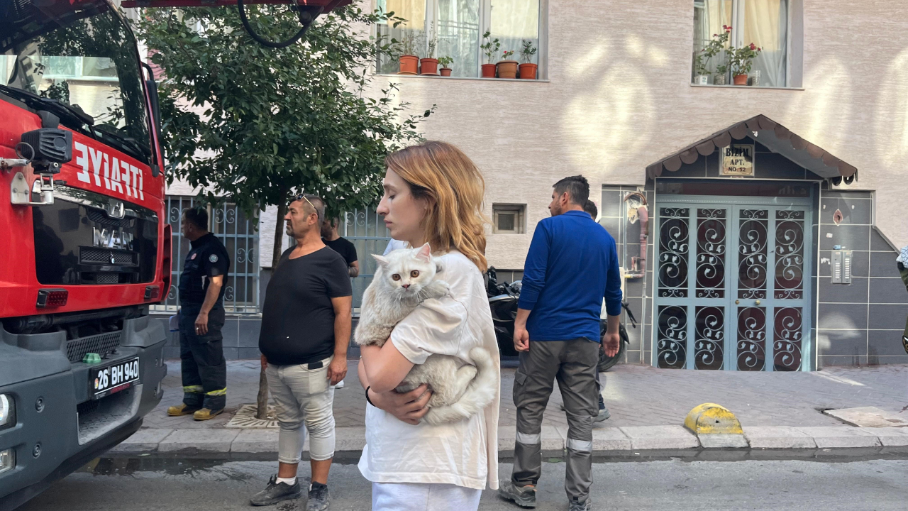 Çıkan yangında 2 kedi dumandan etkilendi