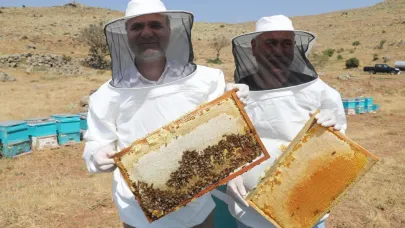 Niğde'de kovanlardan 2 ton bal hasadı