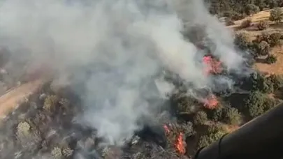 Aydın'da tarım arazisindeki yangın 1 saatte söndürüldü