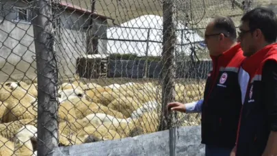 Bayburt’ta küçükbaş hayvan işletmeleri incelendi