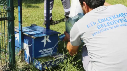 Yaz sıcağında sokak hayvanlarına su desteği