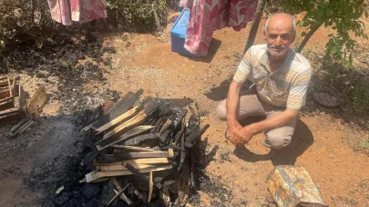 Orman yangınında 300 arı kovanı telef oldu