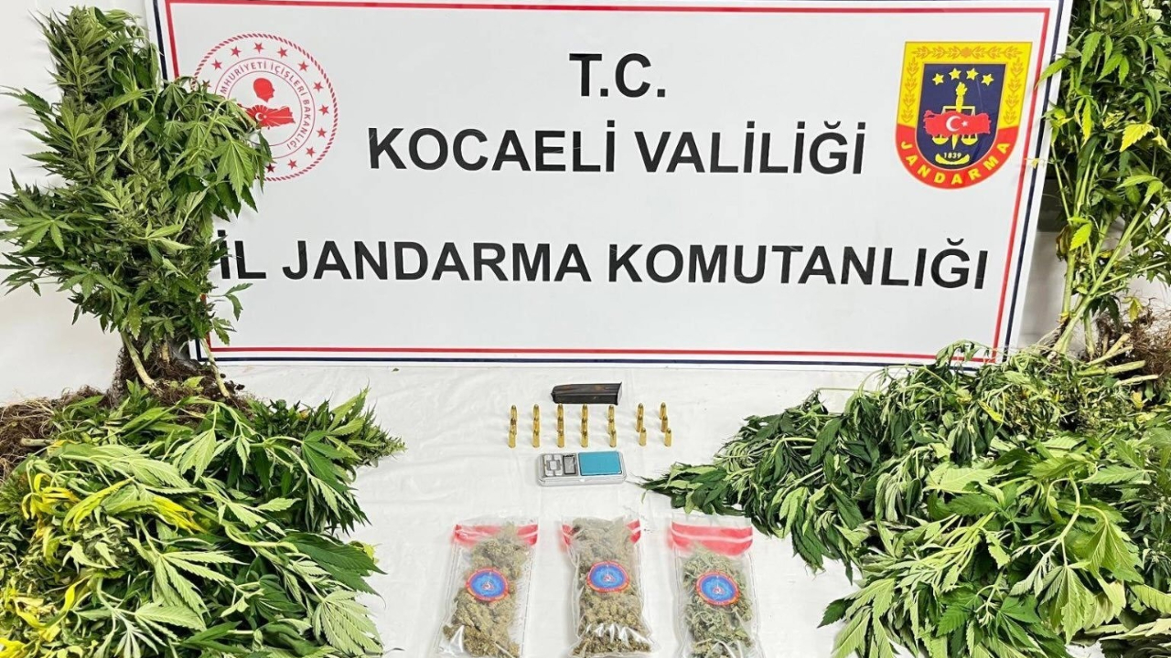 Kocaeli'de uyuşturucu operasyonlarında 1 kişi tutuklandı