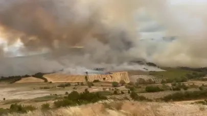 Yenişehir Kavaklı'da orman yangını: Müdahale sürüyor