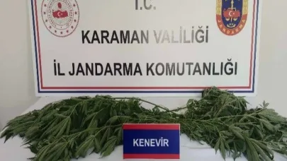 Kaçak tarihi eser ve zehir baskını: 10 tutuklu