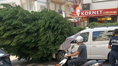Park halindeki aracın üstüne ağaç yıkıldı