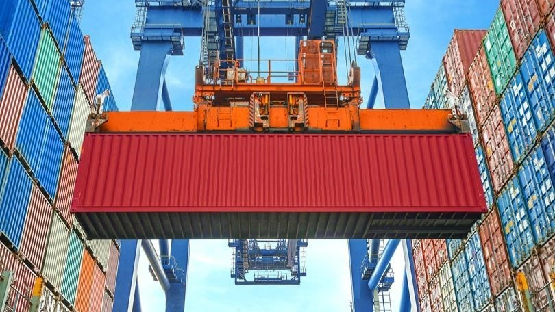 2025'in ilk yarısında 8 bin 849 ton orman ürünü ihraç edildi