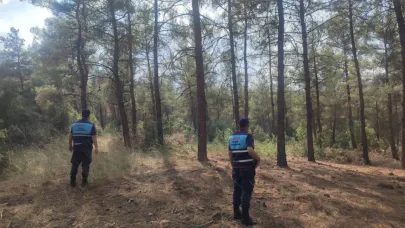 Aydın'da orman yangınlarına karşı sıkı denetim