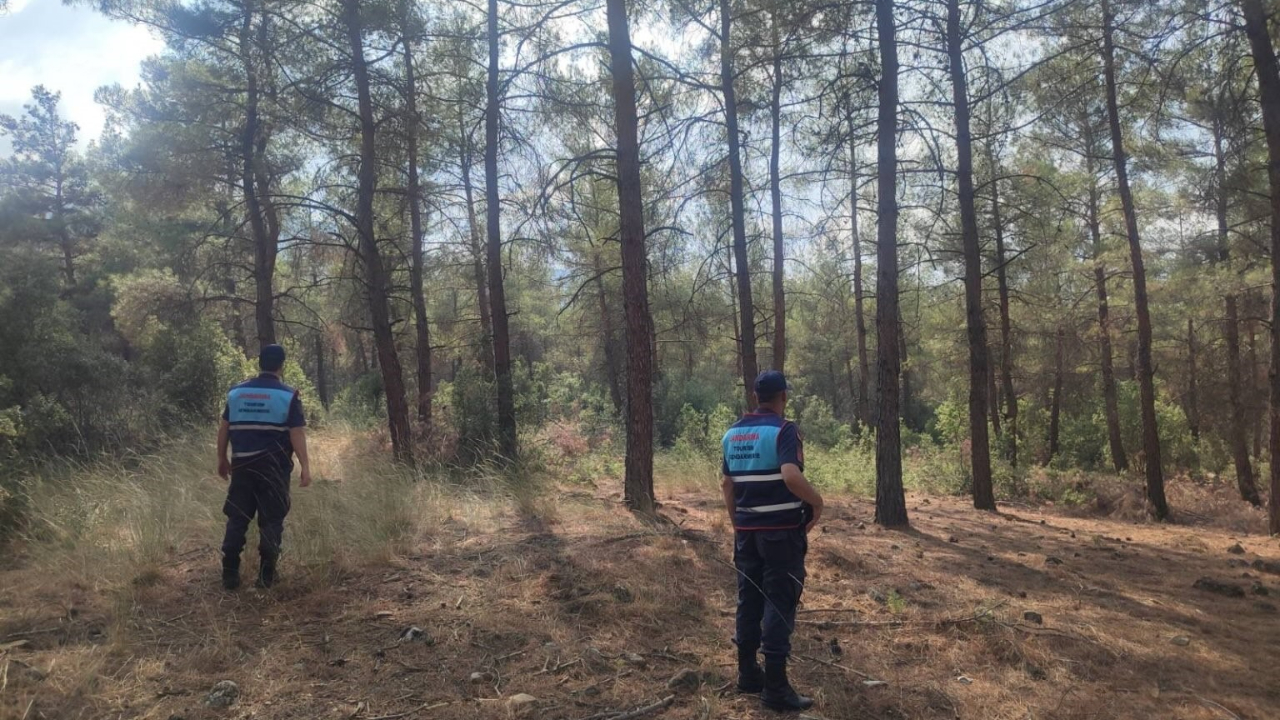 Aydın'da orman yangınlarına karşı sıkı denetim