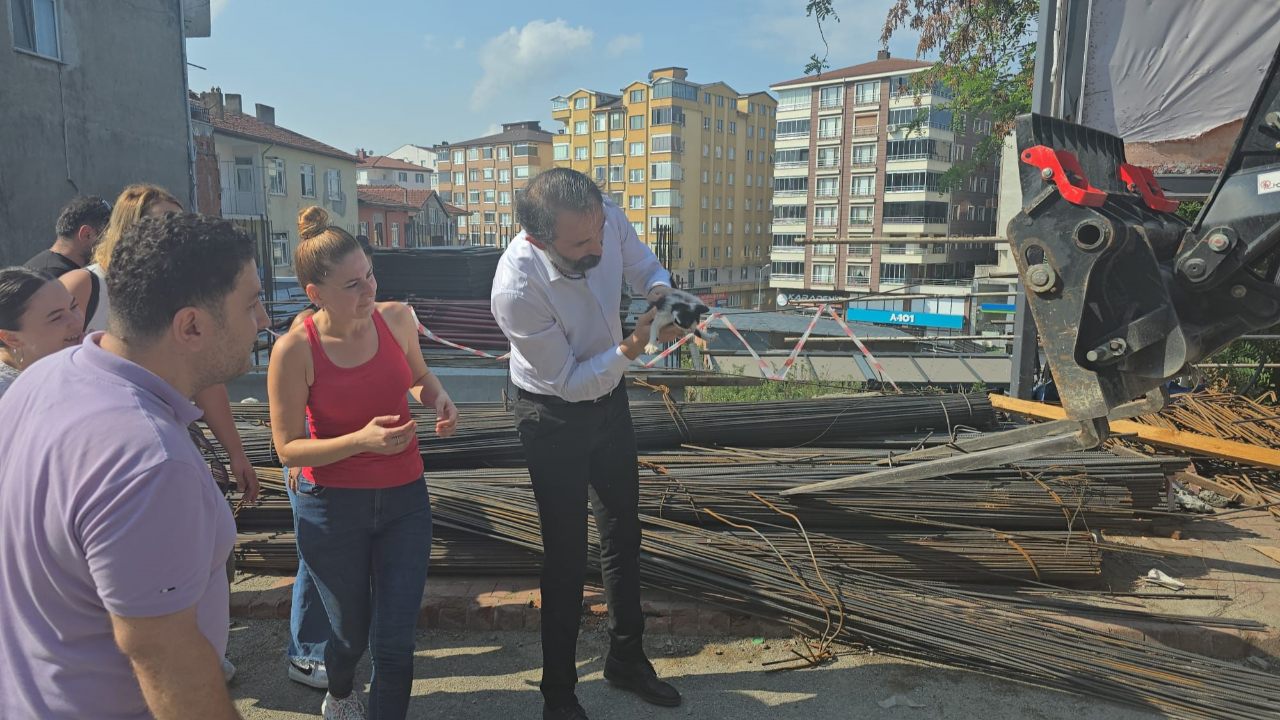 İnşaat demirlerine sıkışan yavru kedi 2 saatlik çalışmayla kurtarıldı